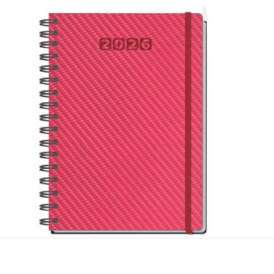 Agenda wireo día página 2027 personalizada